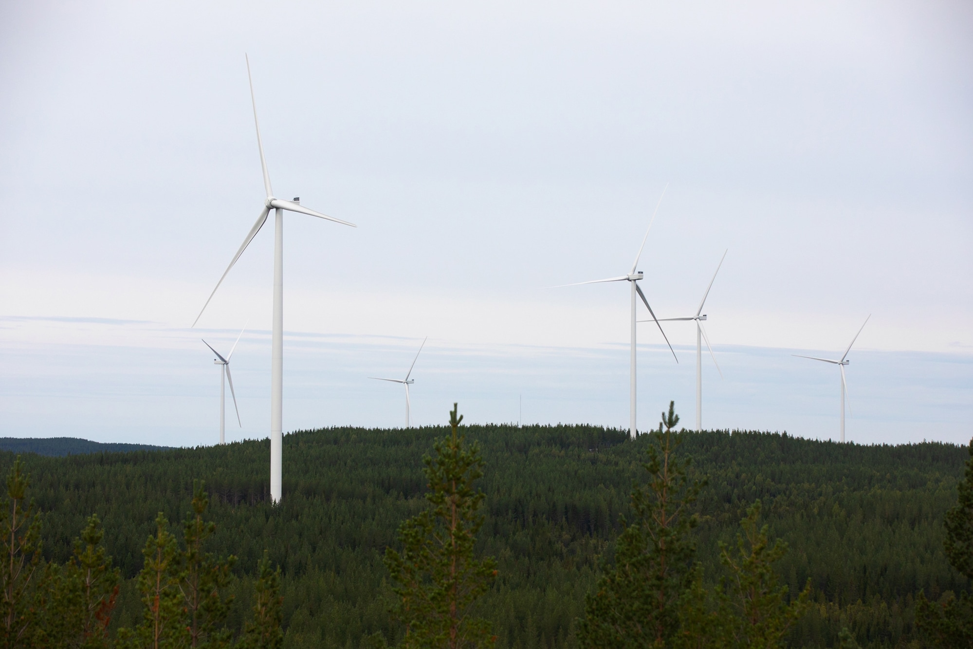 Energy Infrastructure Partners und RWE Renewables feiern Einweihung des Onshore Windparks «Nysäter Wind» mit einer Leistung von 475 MW in Nordschweden